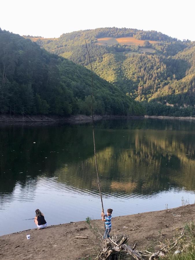 Cabana Baraj Apuseni Mountains Mihoesti Buitenkant foto
