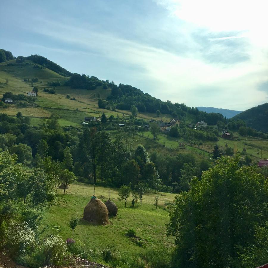 Cabana Baraj Apuseni Mountains Mihoesti Buitenkant foto