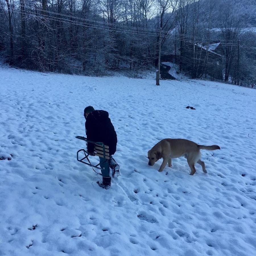 Cabana Baraj Apuseni Mountains Mihoesti Buitenkant foto