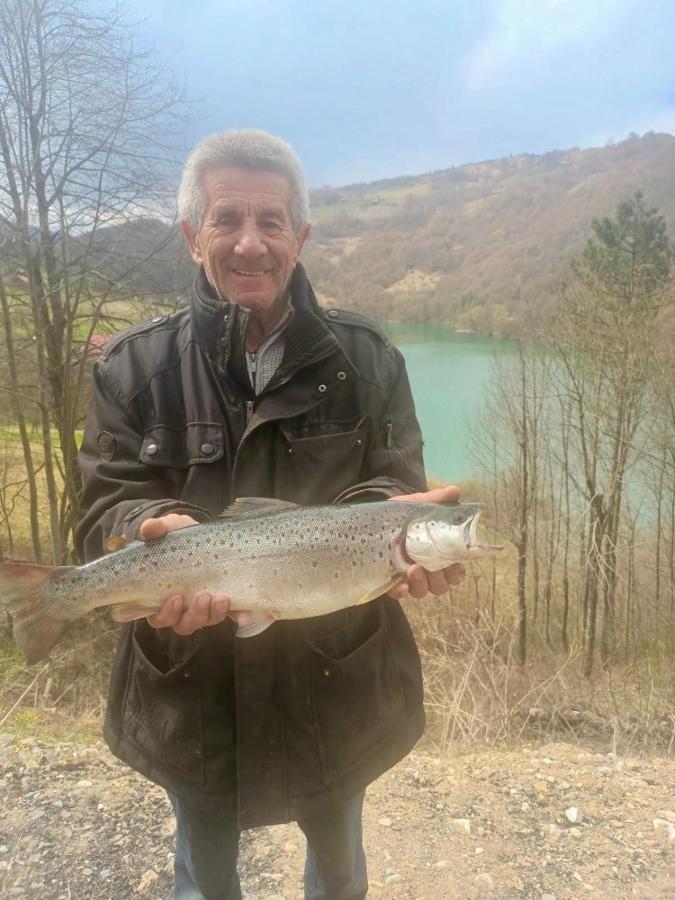 Cabana Baraj Apuseni Mountains Mihoesti Buitenkant foto