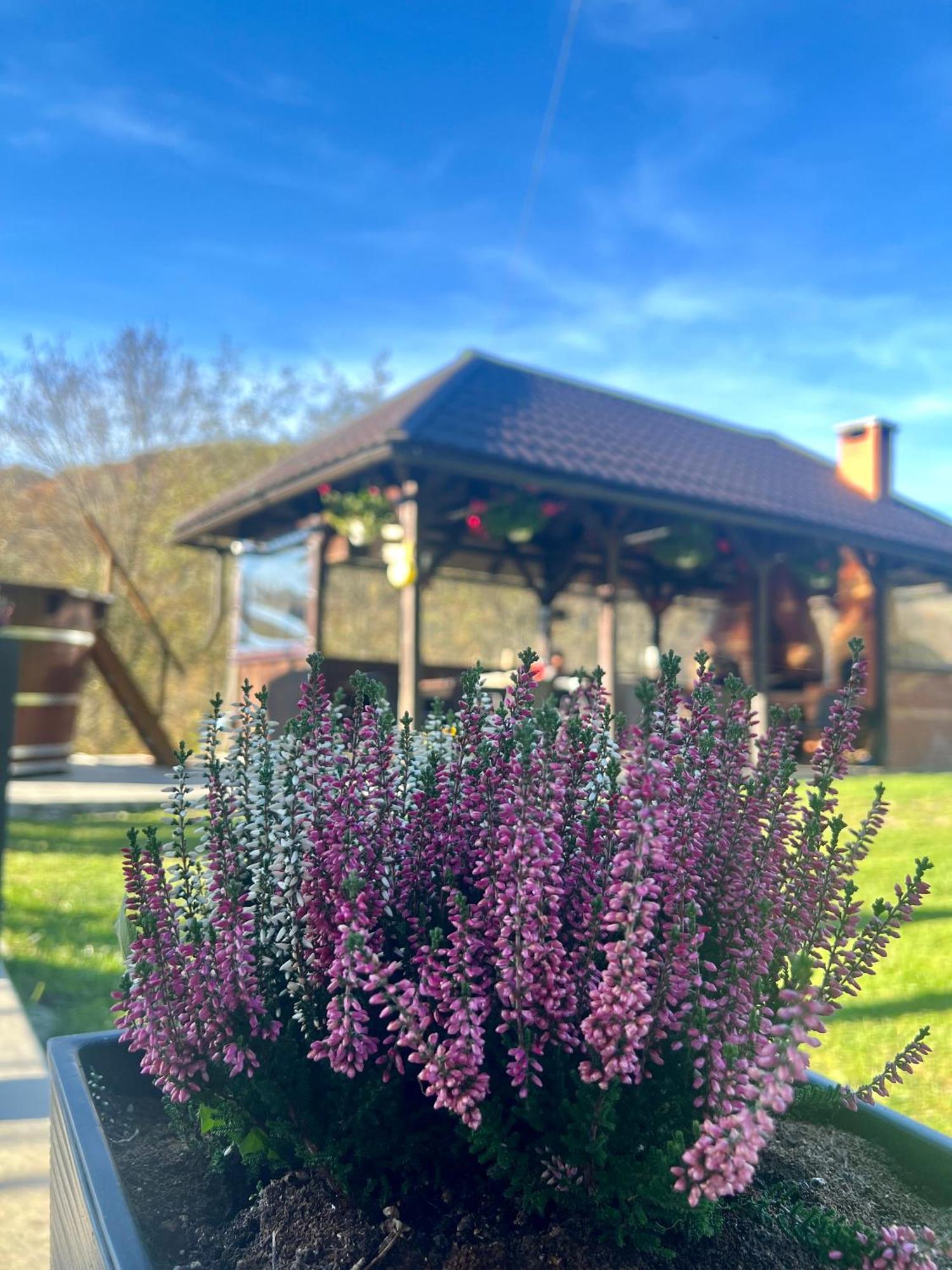 Cabana Baraj Apuseni Mountains Mihoesti Buitenkant foto