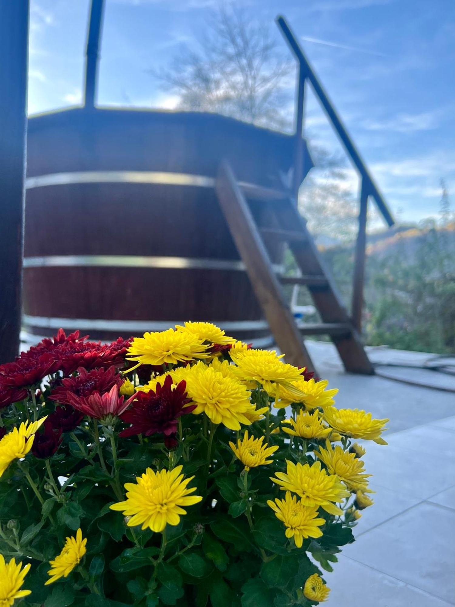 Cabana Baraj Apuseni Mountains Mihoesti Buitenkant foto